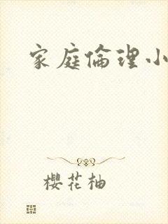 家庭伦理小说封面