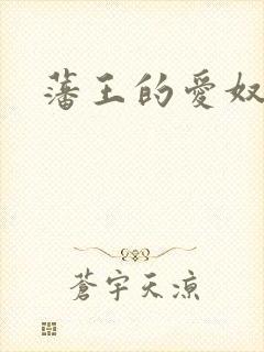 藩王的爱奴封面