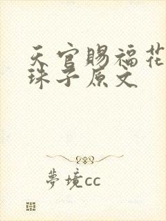 天官赐福花怜塞珠子原文