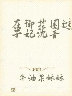 在御花园进入太子妃沈音