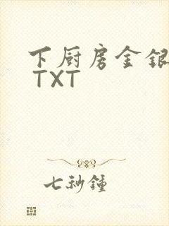 下厨房金银花露 TXT封面