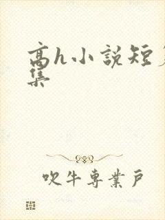 高h小说短篇合集