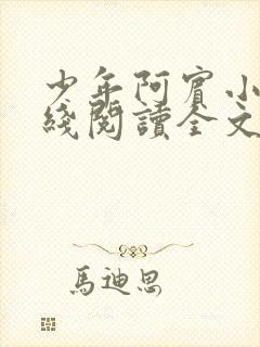 少年阿宾小说在线阅读全文无删减封面