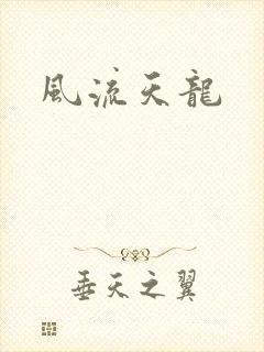 风流天龙