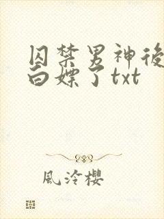 囚禁男神后我被白嫖了txt