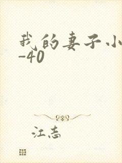 我的妻子小谨1-40封面