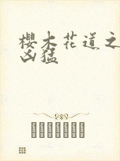 樱木花道之重生凶猛