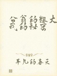 公翁的粗大放进我的秘密