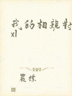 我的相亲对象是xl封面