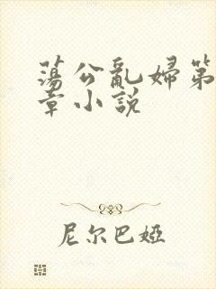 荡公乱妇第51章小说封面