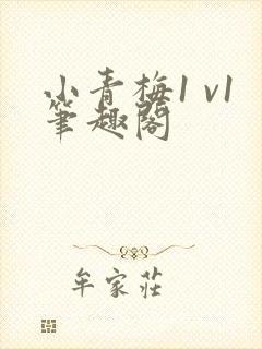 小青梅1 v1笔趣阁