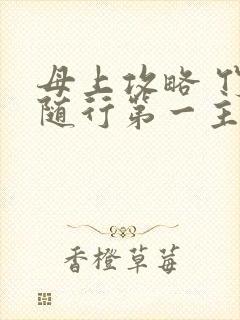 母上攻略 竹影随行第一主板