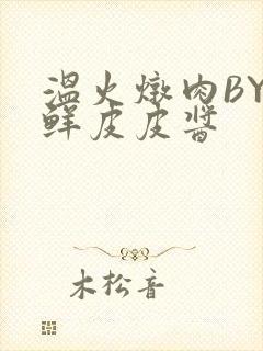 温火炖肉BY海鲜皮皮酱