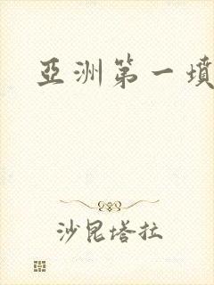 亚洲第一坟封面