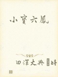 小宝六凤封面