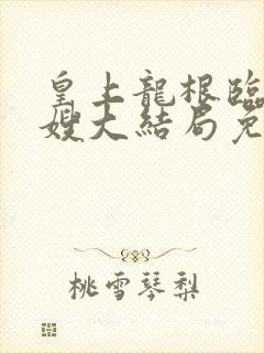 皇上龙根临幸嫂嫂大结局免费阅读