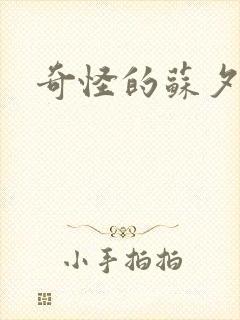 奇怪的苏夕封面