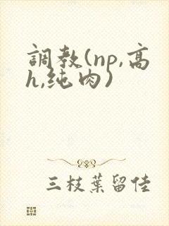 调教(np,高h,纯肉)封面