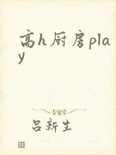 高h厨房play