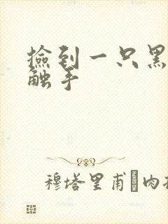 捡到一只黑心小触手