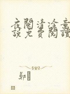 夜阑清冷意欢小说免费阅读