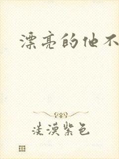 漂亮的他不说话封面