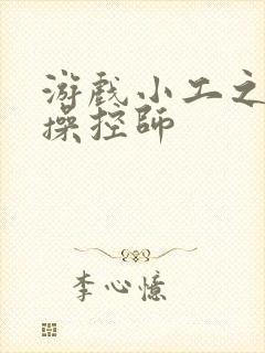 游戏小工之元素操控师封面