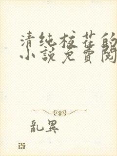 清纯校花的秘密小说免费阅读