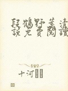 段鹤野叶清璃小说免费阅读最新章节