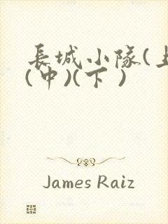 长城小队(上)(中)(下 )封面