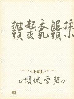 掀起衣服揉捏奶头爽乳头小说