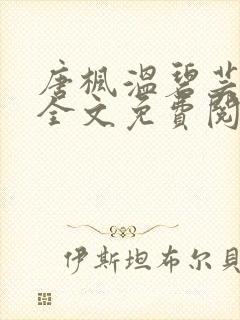 唐枫温碧芸小说全文免费阅读