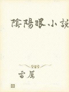 阴阳眼小说
