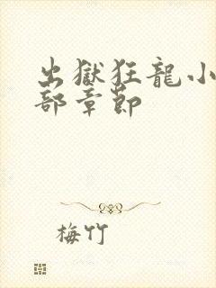 出狱狂龙小说全部章节