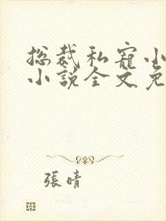 总裁私宠小娇妻小说全文免费阅读