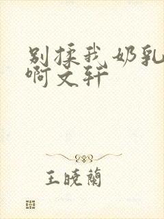 别揉我奶乳嗯～啊文轩封面