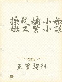 搡我娇小嫩苞又嫩又紧小说封面