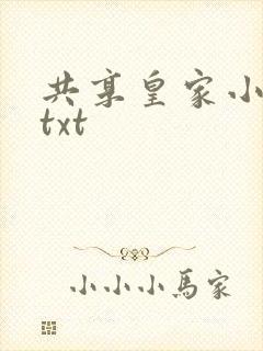 共享皇家小公主txt
