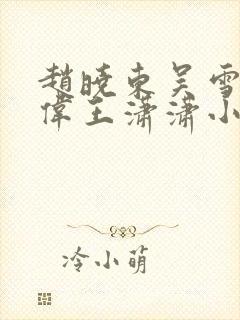 赵晓东吴雪晴郑伟王潇潇小说