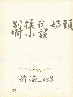 别揉我奶头嗯～啊小说