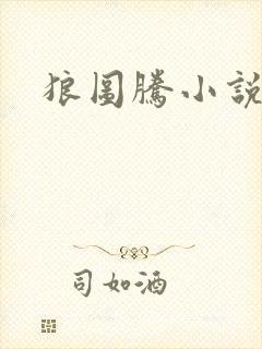 狼图腾小说封面