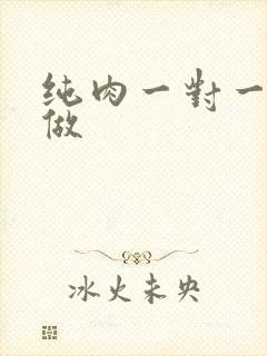 纯肉一对一到处做