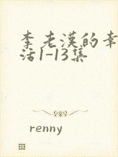 李老汉的幸福生活1-13集