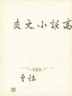 爽文小说高h
