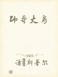 帅哥大鸟