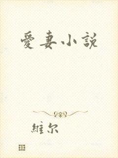 爱妻小说封面
