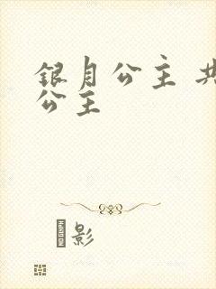 银月公主 共享公主