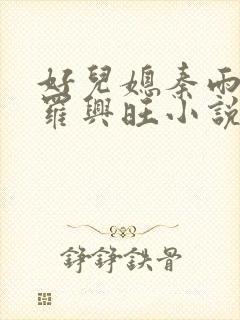 好儿媳秦雨罗明罗兴旺小说