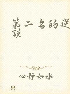 第二名的逆袭小说