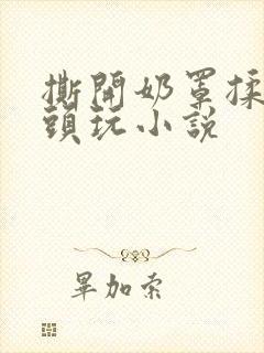 撕开奶罩揉吮奶头玩小说